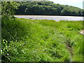 Mill Pool at Stoke Gabriel