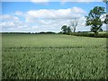 Farmland in Great Addington parish