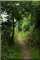 Footpath near Ridge Farm