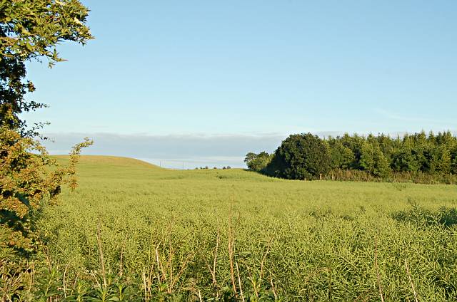 Fields by Viewforth Plantation