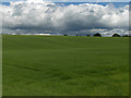 Farmland, east of Thornhill