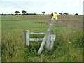 West Cowick, Hag Lane, Oil Pipeline Marker