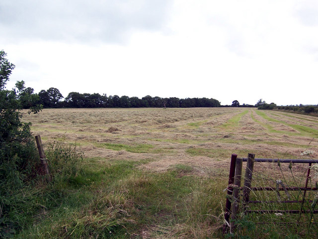 Hay Field off Owmby Lane