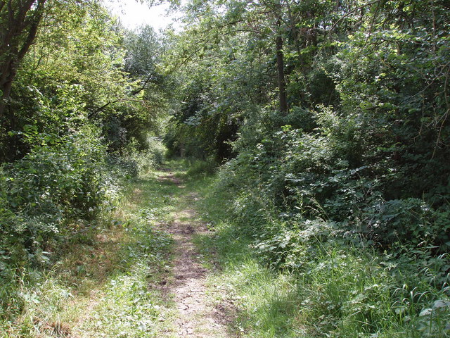 Bridleway, course of Roman Road, Sandford Brake