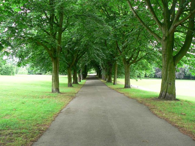 Avenue of trees, Clarence Park,... © Rich Tea cc-by-sa/2.0 :: Geograph ...