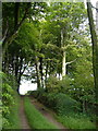 Footpath beside Wadstray House