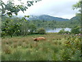 NN0247 : Loch Baile Mhic Chaillein by Alan Stewart