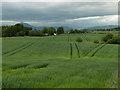 Farmland, Wester Spittalton