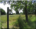 Public Footpath, Bicknacre