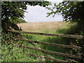 Meadow near Manhay