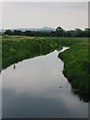 The River Brue, Westhay