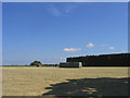 Hay Making - West Hanningfield