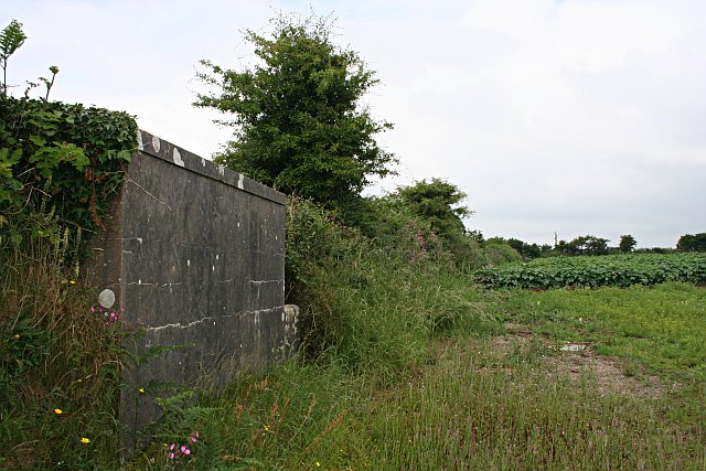 Potato Field