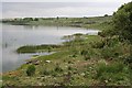 The Shoreline of Stithians Lake