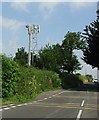 Mobile Phone Mast on Tintinhull Road