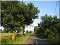 TL1033 : Country road, Lower Gravenhurst, Beds by Rodney Burton