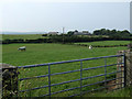 Grazing land to the North of Llechcynfarwy