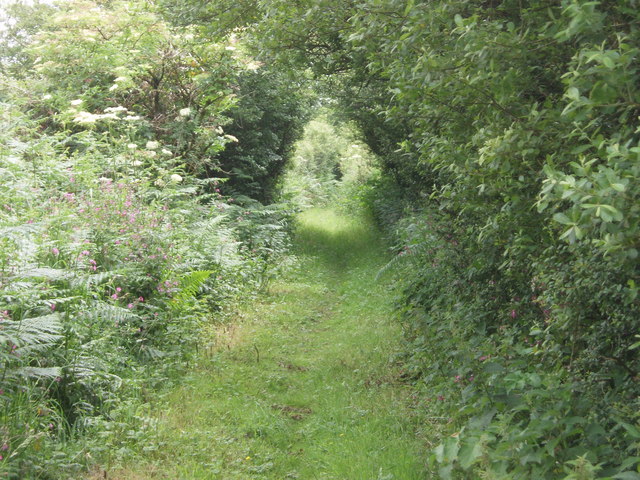 Lane to Carthvean