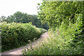 Dunkeswell: the lane to Dunkeswell Abbey