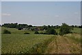 Footpath to Wickham House, Denston