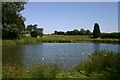 Fishpond at Cordell Hall