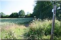 Footpath to Mickley Green