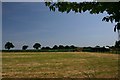 Fields at Bradfield Combust