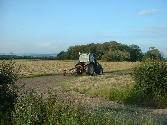 Haymaking near Buttfield Wood