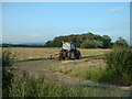 Haymaking near Buttfield Wood