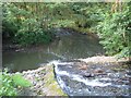 Coul Beck joining the River Leven