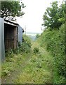 Green lane off Golberdon Road