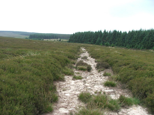 Path on Wheeldale Moor.
