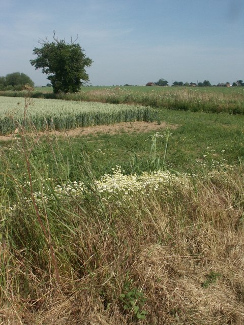 Farmland, near Repps