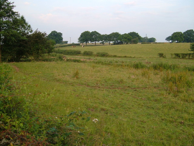 View from Bignall End Road