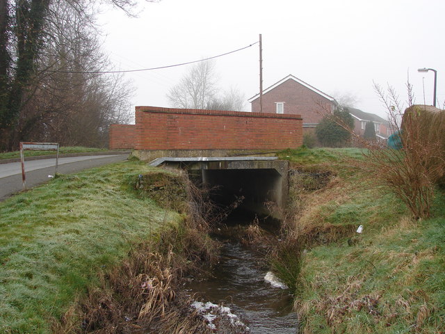 Bridge Over Stream, Caersws