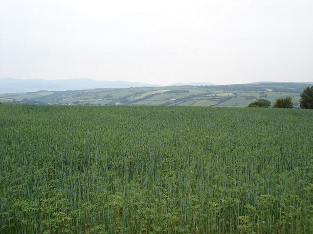Crops and hills