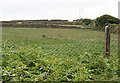 Fields above Stithians Reservoir