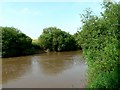 River Ouse near Cawood Parish Church