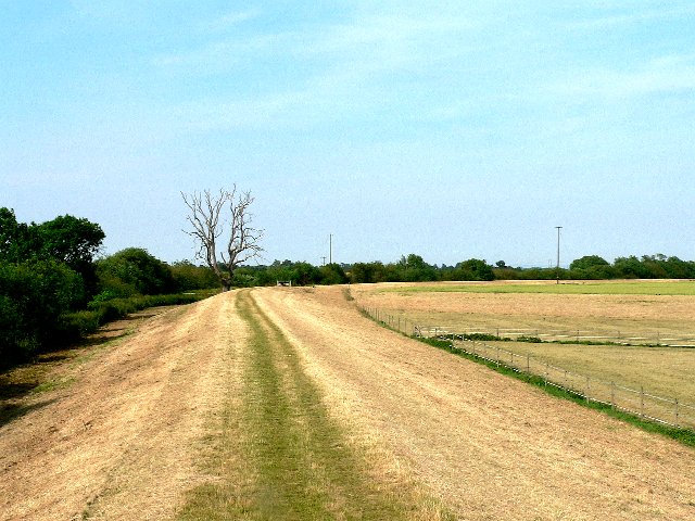 The "Wolsey Walk" on the Embankment at Cawood
