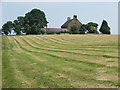 Hay Field