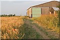 Barn, Bridleway and Ripening Barley