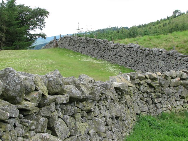 Dry stone wall © Callum Black :: Geograph Britain and Ireland