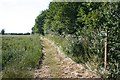 Footpath to Melon Green