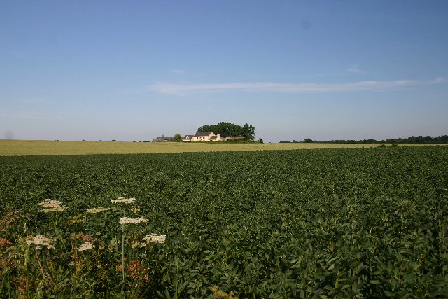 Fields towards Rowney Farm