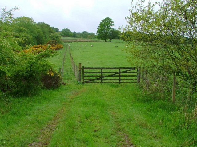 Field and Gate, Cogrie Burn