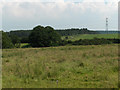 Pylon, wood and farmland, near Cotehill