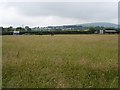 Pasture north of Golberdon Road