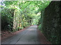 Approaching Luxulyan