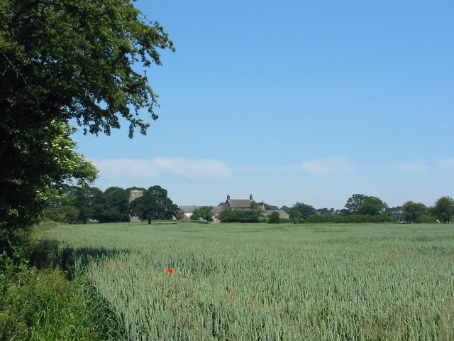 Swan Hill Farm
