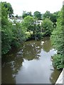 River Tamar from New Bridge, Gunnislake